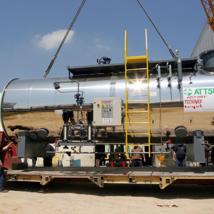 Boiler cogeneration plants